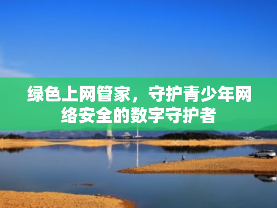 绿色上网管家,守护青少年网络安全的数字守护者