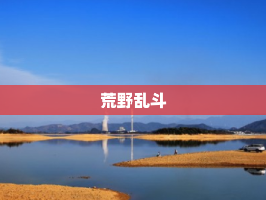 荒野乱斗 荒野乱斗