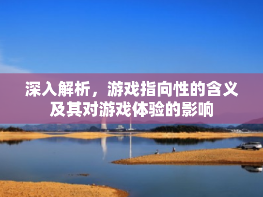 深入解析,游戏指向性的含义及其对游戏体验的影响