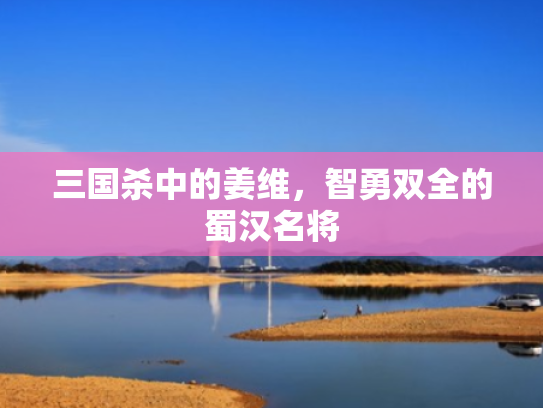 三国杀中的姜维,智勇双全的蜀汉名将