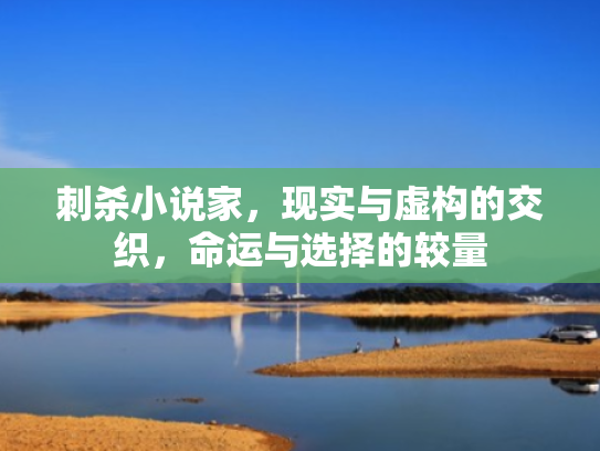 刺杀小说家,现实与虚构的交织,命运与选择的较量