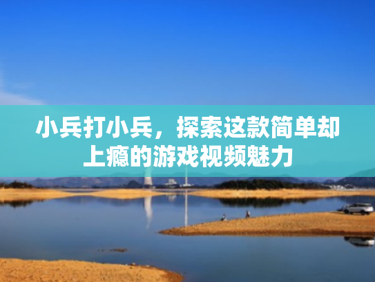 小兵打小兵,探索这款简单却上瘾的游戏视频魅力