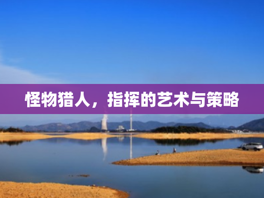 怪物猎人,指挥的艺术与策略