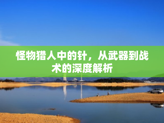 怪物猎人中的针,从武器到战术的深度解析
