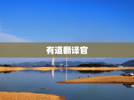 有道翻译官 有道翻译官