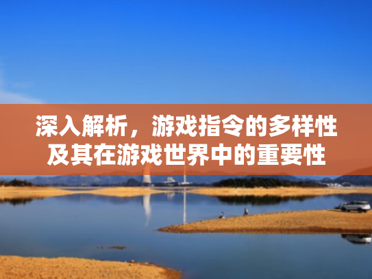 深入解析,游戏指令的多样性及其在游戏世界中的重要性
