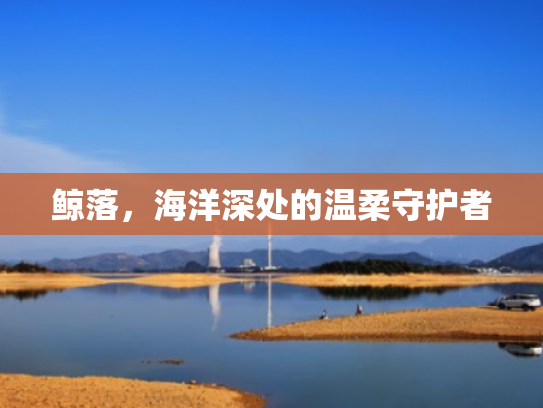 鲸落,海洋深处的温柔守护者