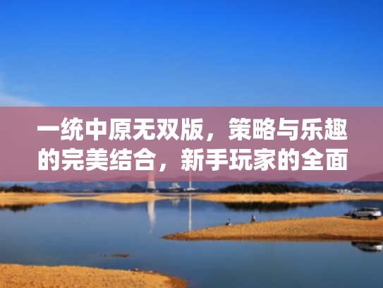 一统中原无双版,策略与乐趣的完美结合,新手玩家的全面指南