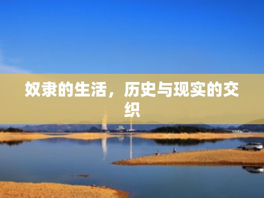 奴隶的生活,历史与现实的交织