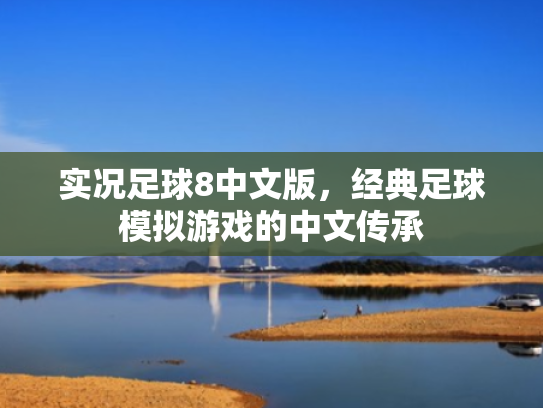 实况足球8中文版,经典足球模拟游戏的中文传承