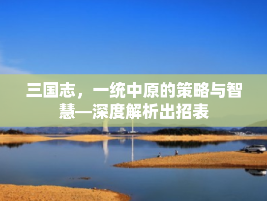 三国志,一统中原的策略与智慧—深度解析出招表
