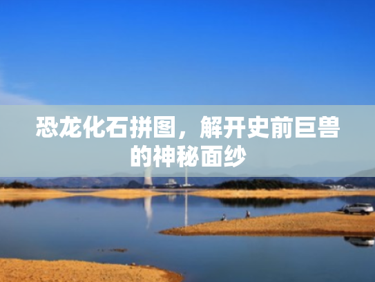 恐龙化石拼图,解开史前巨兽的神秘面纱 恐龙化石拼图,解开史前巨兽的神秘面纱