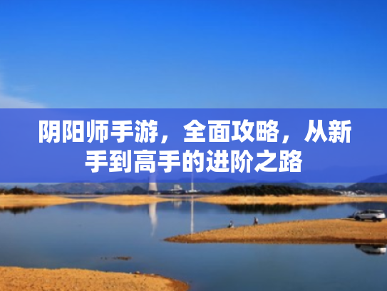 阴阳师手游,全面攻略,从新手到高手的进阶之路