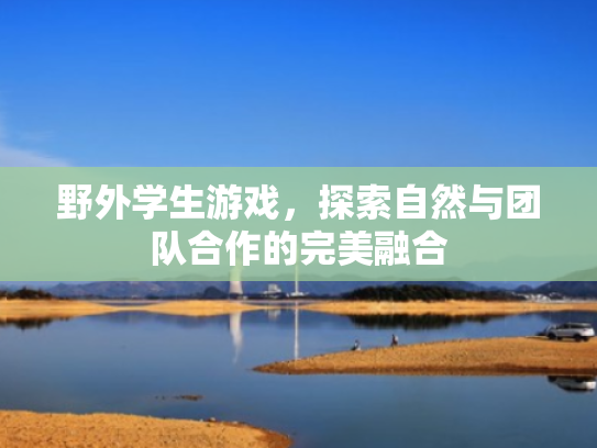 野外学生游戏,探索自然与团队合作的完美融合