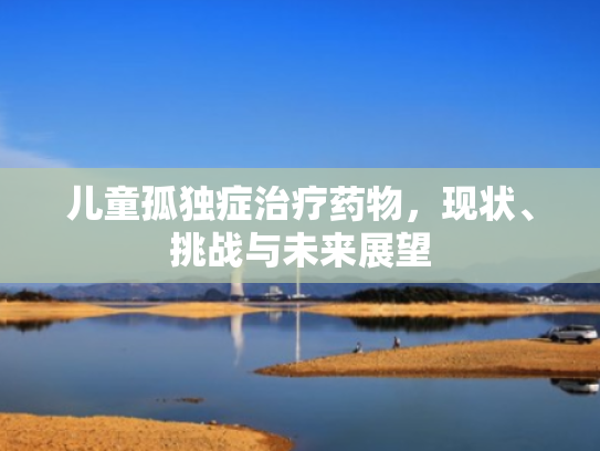 儿童孤独症治疗药物,现状、挑战与未来展望