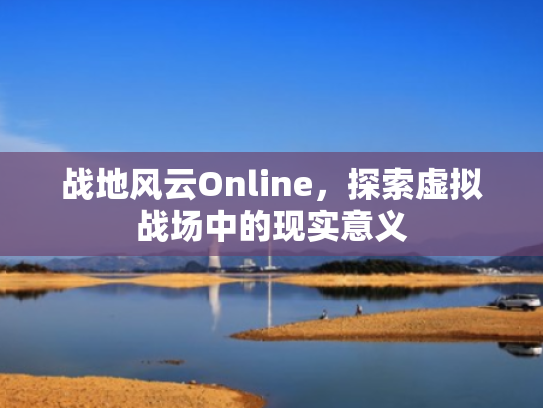 战地风云Online，探索虚拟战场中的现实意义