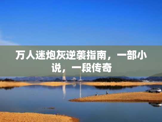 万人迷炮灰逆袭指南,一部小说,一段传奇