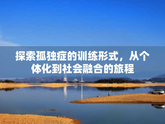 探索孤独症的训练形式,从个体化到社会融合的旅程