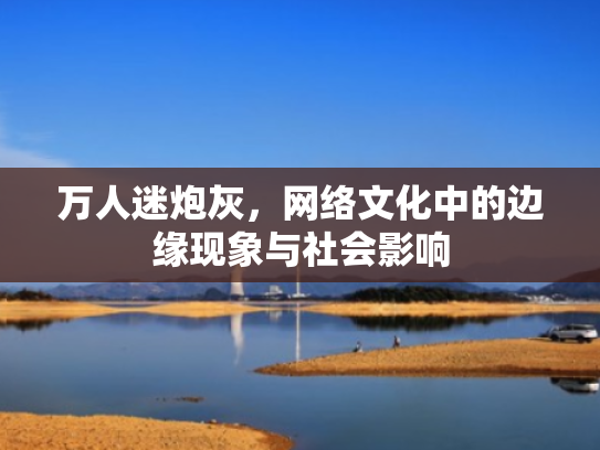 万人迷炮灰,网络文化中的边缘现象与社会影响