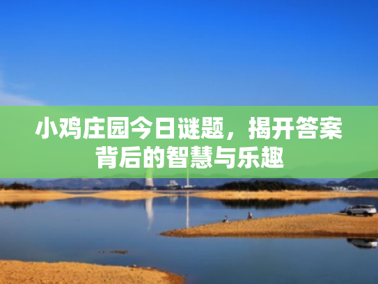 小鸡庄园今日谜题,揭开答案背后的智慧与乐趣