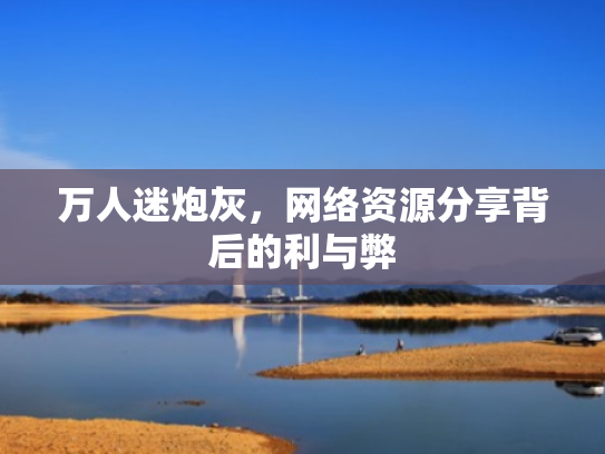 万人迷炮灰,网络资源分享背后的利与弊