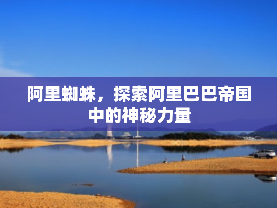 阿里蜘蛛,探索阿里巴巴帝国中的神秘力量