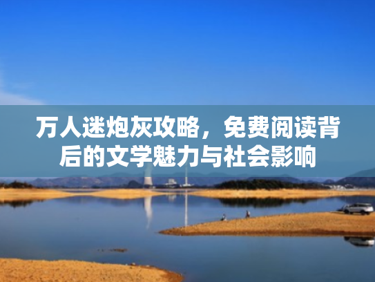 万人迷炮灰攻略,免费阅读背后的文学魅力与社会影响