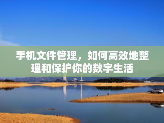 手机文件管理,如何高效地整理和保护你的数字生活