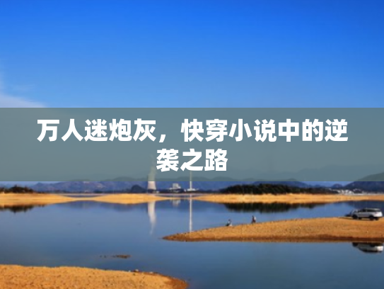 万人迷炮灰,快穿小说中的逆袭之路