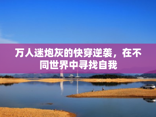 万人迷炮灰的快穿逆袭,在不同世界中寻找自我