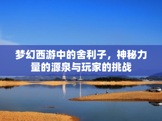 梦幻西游中的舍利子,神秘力量的源泉与玩家的挑战