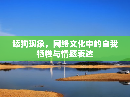 舔狗现象,网络文化中的自我牺牲与情感表达