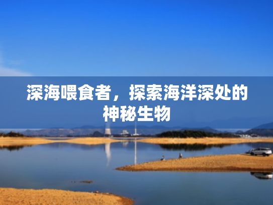 深海喂食者,探索海洋深处的神秘生物