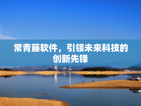 常青藤软件,引领未来科技的创新先锋 常青藤软件,引领未来科技的创新先锋