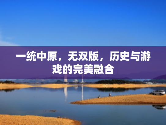 一统中原,无双版,历史与游戏的完美融合
