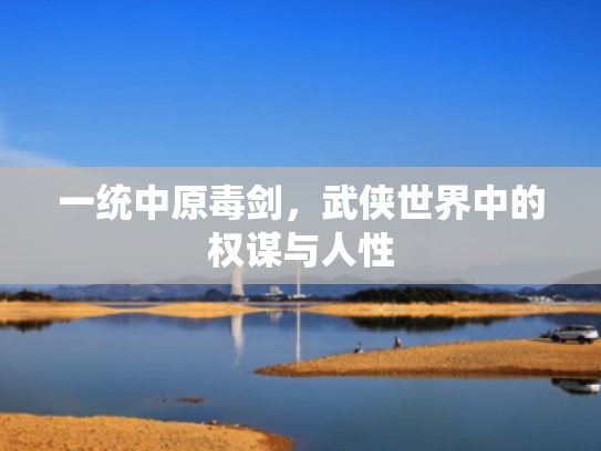 一统中原毒剑,武侠世界中的权谋与人性 一统中原毒剑,武侠世界中的权谋与人性