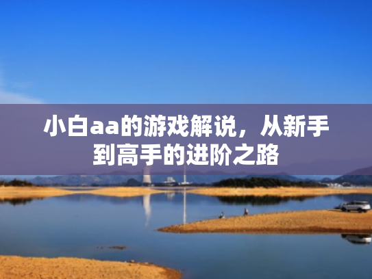 小白aa的游戏解说,从新手到高手的进阶之路 小白aa的游戏解说,从新手到高手的进阶之路