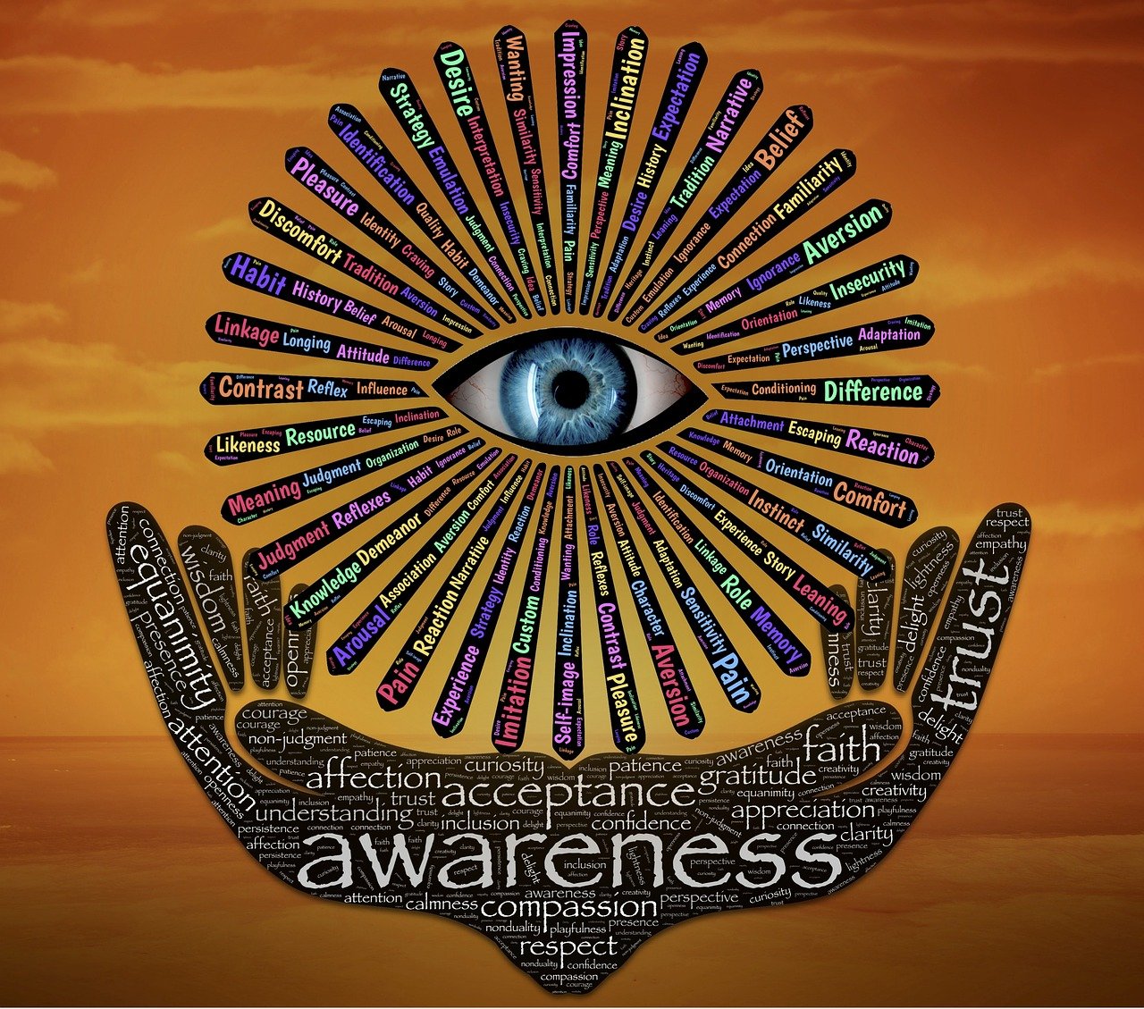 魂soul,探索人类精神深处的奥秘