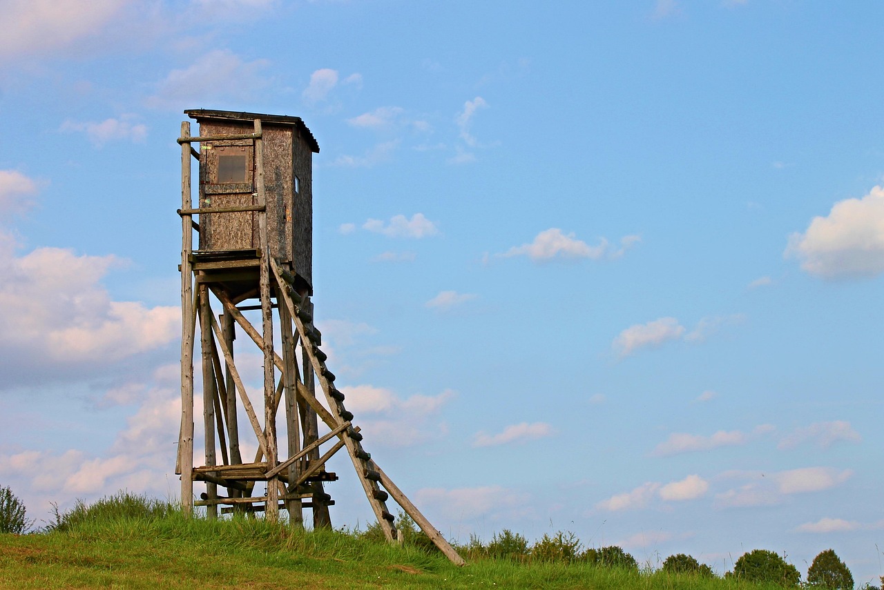怪物猎人,瞄准方向,探索狩猎新纪元 怪物猎人,瞄准方向,探索狩猎新纪元